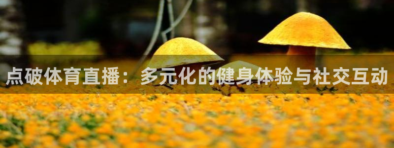 857体育直播解说：点破体育直播：多元化的健身体验与社交互动