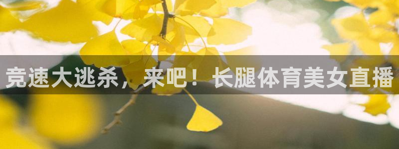 857tv体育免费直播：竞速大逃杀，来吧！长腿体育美女直播