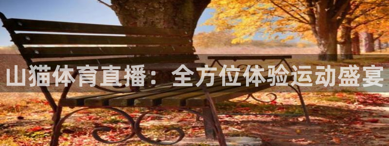 857直播间：山猫体育直播：全方位体验运动盛宴