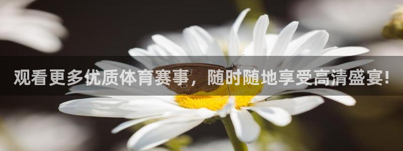 857看球直播平台：观看更多优质体育赛事，随时随地享受高清盛宴!