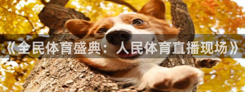 857直播体育直播间：《全民体育盛典：人民体育直播现场》