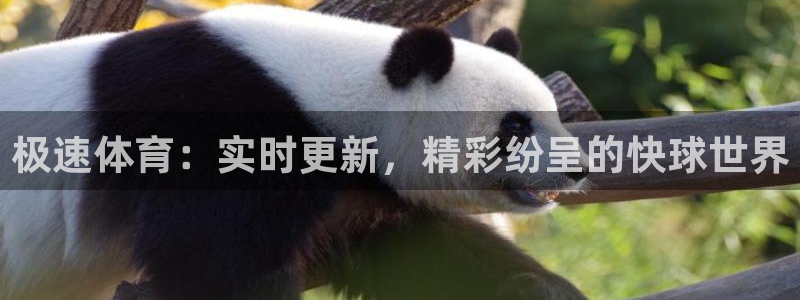 857足球体育赛事直播：极速体育：实时更新，精彩纷呈的快球世界