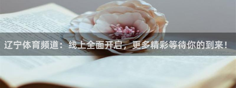 857直播体育app：辽宁体育频道：线上全面开启，更多精彩等待你的到来！