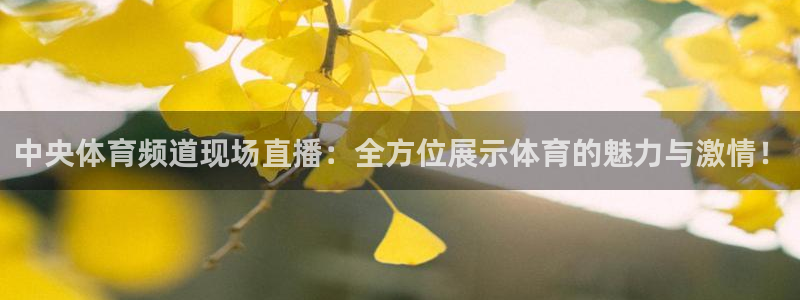 857直播体育专业直播：中央体育频道现场直播：全方位展示体育的魅力与激情！