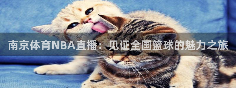 857直播体育直播：南京体育NBA直播：见证全国篮球的魅力之旅